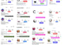 manually remove ghost followers from your instagram to boost engagement